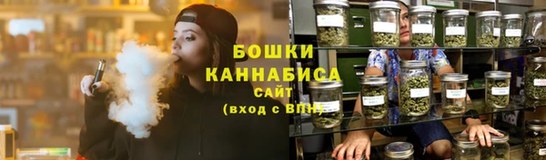 сатива Белоозёрский