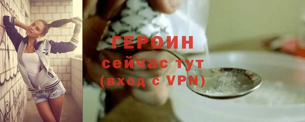 хмурый Белокуриха