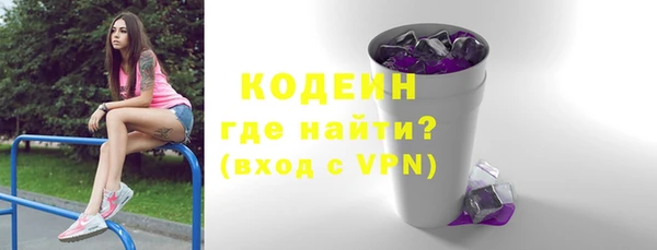хмурый Белокуриха