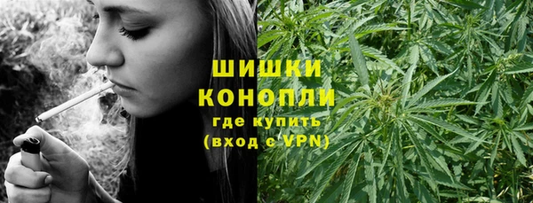 сатива Белоозёрский