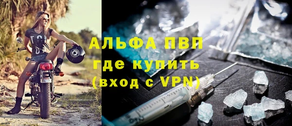 хмурый Белокуриха