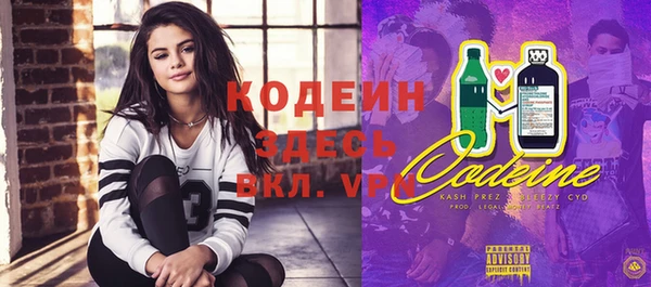 хмурый Белокуриха