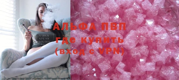 хмурый Белокуриха