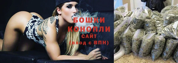 хмурый Белокуриха