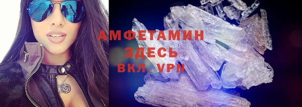 хмурый Белокуриха