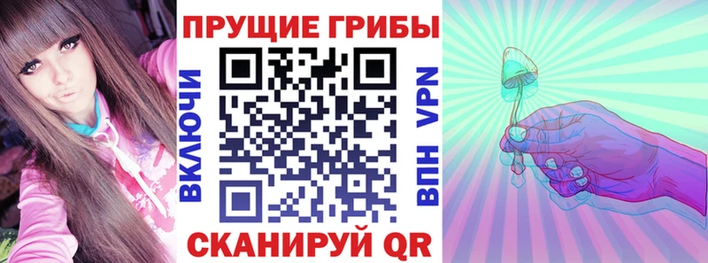 Галлюциногенные грибы Psilocybe  Оха 
